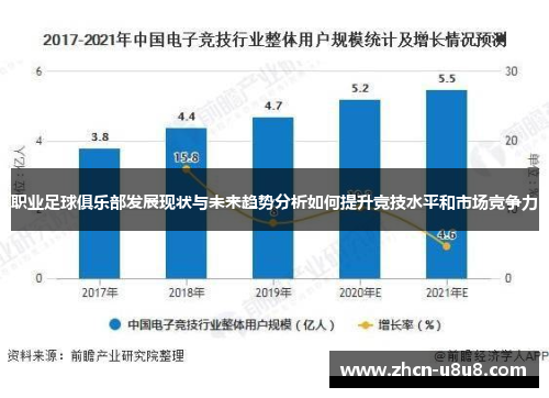 职业足球俱乐部发展现状与未来趋势分析如何提升竞技水平和市场竞争力