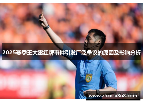 2025赛季王大雷红牌事件引发广泛争议的原因及影响分析